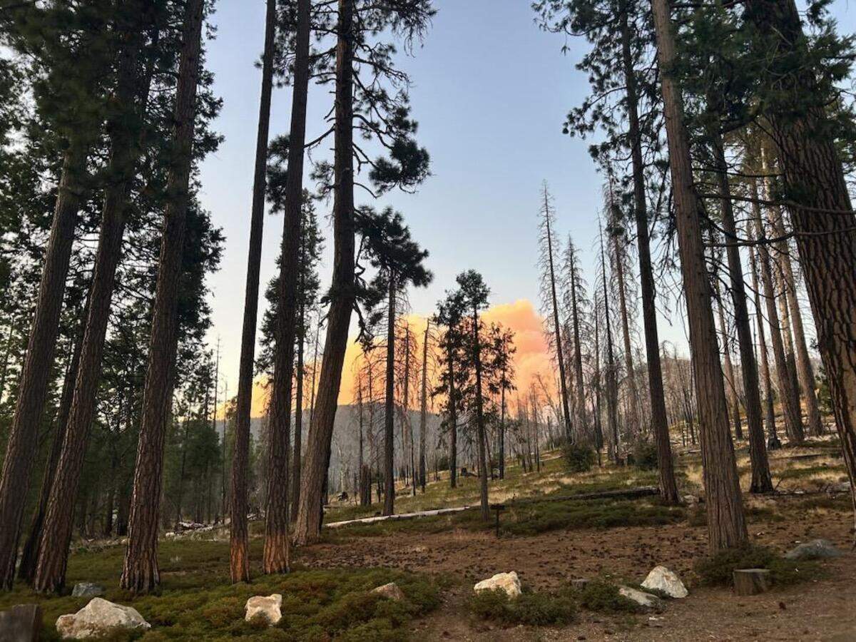 The Dome Fire burns inside Yosemite National Park, Sept. 18, 2026.